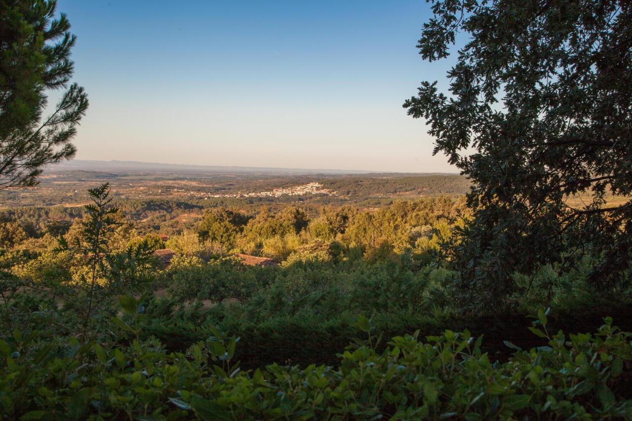 El Raso Finca La Sayuelaヴィラ エクステリア 写真